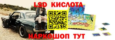амф Камень-на-Оби