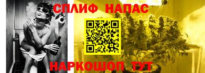 амф Камень-на-Оби