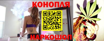 амф Камень-на-Оби