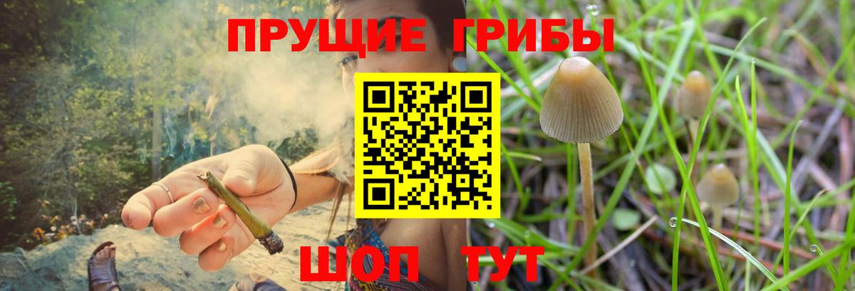 Галлюциногенные грибы мухоморы  Галлюциногенные грибы прущие грибы  Ейск  Вход с VPN 